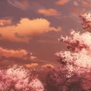 TULIPSY-     ﹒       ᶠʳᶦᵉⁿᵈˢ, ʷᵉˡᶜᵒᵐᶦⁿᵍ, ᵃᶜᵗᶦᵛᵉ, ⁿᵗᵒˣ⋆౨ৎ˚⟡˖ ࣪