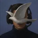 Discord do Paz