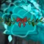 ˗ˏˋ ❄ Flor de Tupã SMP #200 (ENCERRADO)