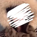 ccs’s misc