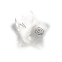 bunnyzz Discord server icon