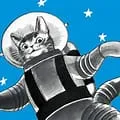 🚀 Cat Party