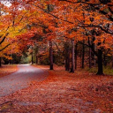 Fall Realm