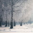 ❄❄ ʀᴇᴍᴀʀQᴜᴇ ❄❄