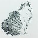 ~WEEKLY ART COMPETITIONS~