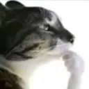 Hmm