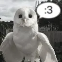 Stoi^Postoi - ka!