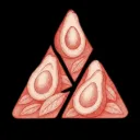 avacado