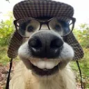 DoggaLocks