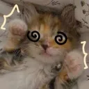 Cozy Whiskers