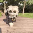 Clubhouse || Make friends Discord server icon