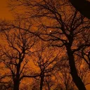 Shadowvale The Series