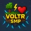 Voltr SMP
