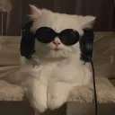 KittyLounge's icon