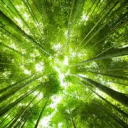 모임의 광장 Discord server icon