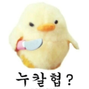 누가칼바람하자협박함? Discord server icon