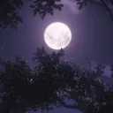 ˖ ᡣ𐭩 ⊹ ࣪  ౨ৎ˚₊ 💜𝓒𝓱𝓲𝓵𝓵 𝓹𝓾𝓻𝓹𝓵𝓮 𝔃𝓸𝓷𝓮 💜˖ ᡣ𐭩 ⊹ ࣪  ౨ৎ˚₊