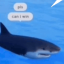 Sharko's Vibe Zone