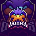 THE COMP DUCKS (TCD) 🥵 Discord server icon