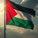 Palestine City | CFW Discord server icon