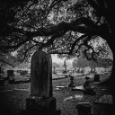 𓏵 ⋮ The afterlife 🩸 ₊ ⊹ Discord server icon