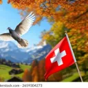 Friends-Switzerland-Support