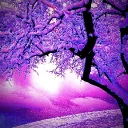 ミ✦𝑰𝑪𝑬 𝑽𝑨𝑳𝑳𝑬𝒀✦彡