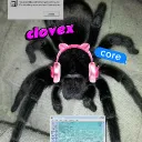 clovex core