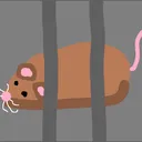 The Rat Cage (Everett Gamings Server)