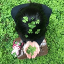 ୧ ‧₊˚ 🍵 ⋅ lushclove Discord server icon