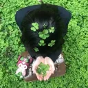 ୧ ‧₊˚ 🍵 ⋅ lushclove