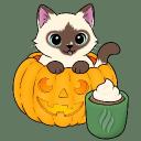 Kibby Café