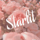 ⋆.˚. StarLit Corner .՞𐦯 Discord server icon