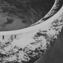 The Palace Discord server icon