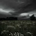 @senikory