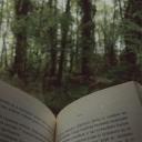 Fawnie Focus Forest₊˚⊹