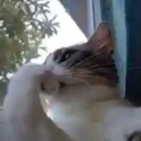 DELTA Z-H Discord server icon