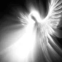 天  Seraph's Core
