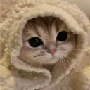 Cozy blanket