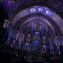 𝐃𝐎𝐕𝐄𝐍𝐀𝐈𝐑𝐄: 𝗧𝗵𝗲 𝗦𝗽𝗶𝗿𝗮𝗹. Discord server icon