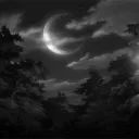 ⌈ 🌙⌋  𝐓𝐫𝐮𝐞𝐀𝐝𝐚𝐦'𝐬 𝐁𝐚𝐬𝐞𝐦𝐞𝐧𝐭