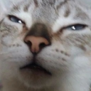 (18+) ᴡʜʏ ɴᴏᴛ ᴛʀʏ? Discord server icon