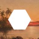 🏖 Hexagonul™