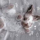 Server icon for 𝕭𝖚𝖓𝖓𝖎𝒆𝒔 ✿