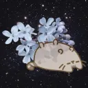 ︶︶  .  𝒞osmic  ⟢