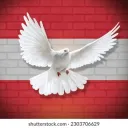 Friends-Austria-Support