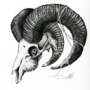 {-𝑇ℎ𝑒 𝐺𝑟𝑎𝑛𝑑 𝐻𝑎𝑟𝑣𝑒𝑠𝑡-}