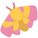 flutter sanctuary