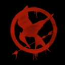 Hunger Games: Ashes to Ashes Discord server icon