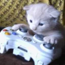 wisp | hangout • social • cats... Discord Server Icon